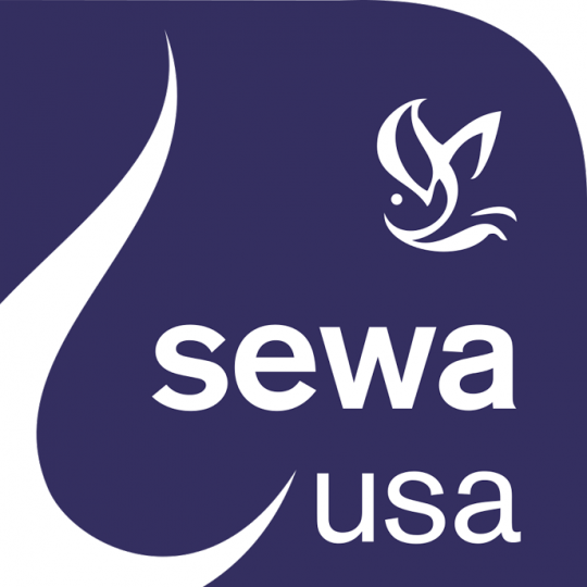 Organization Logo