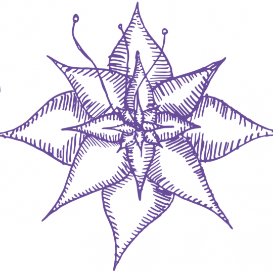 Organization Logo