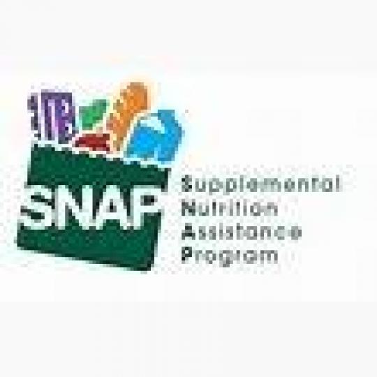 Organization Logo