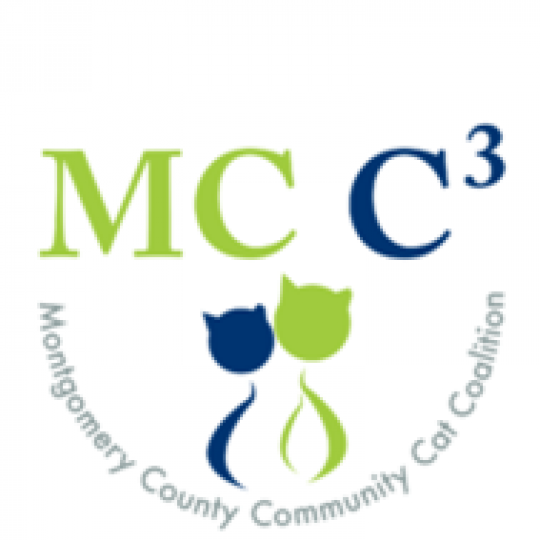 Organization Logo