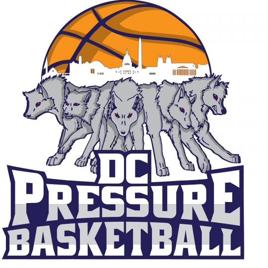 Organization Logo