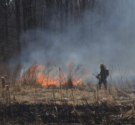 Agency Photo  (256907)