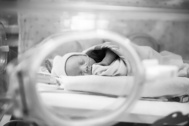 Agency Photo  (203659)