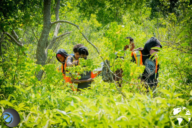 Agency Photo  (142579)