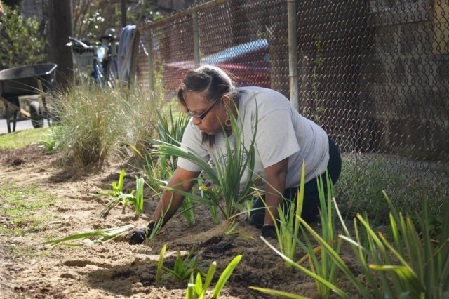 Agency Photo  (96483)