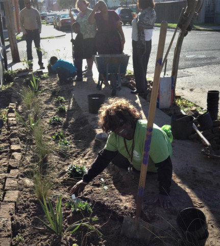 Agency Photo  (114873)