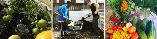 Agency Photo  (104144)