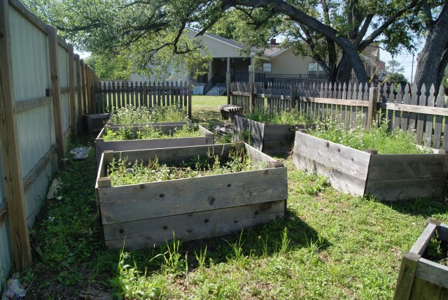 Agency Photo  (107196)