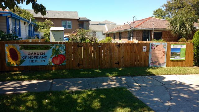 Agency Photo  (107041)