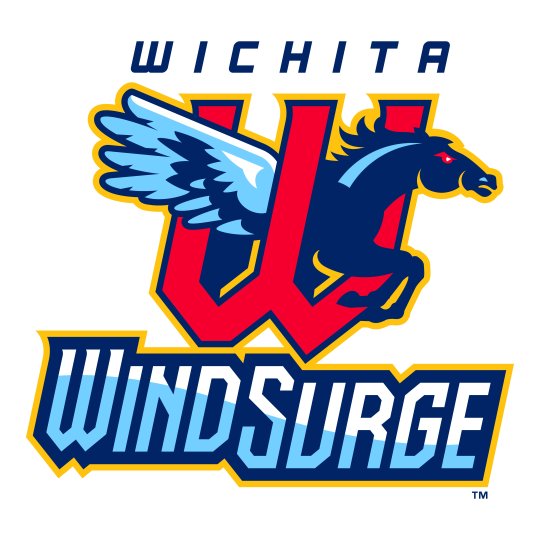 Agency Logo