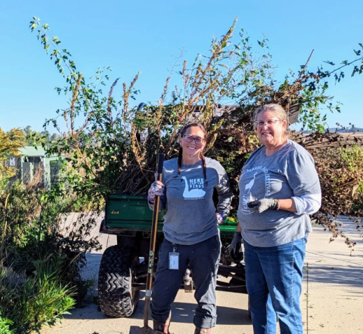 Program Photo  (263096)