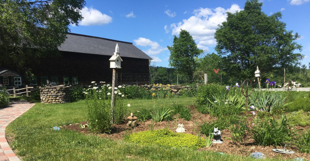 Agency Photo  (120002)