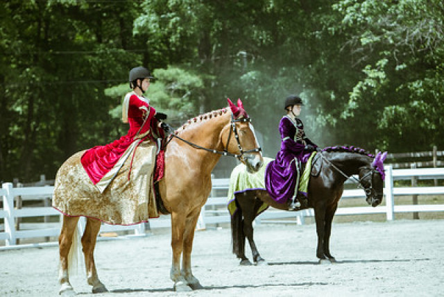 Agency Photo  (120004)