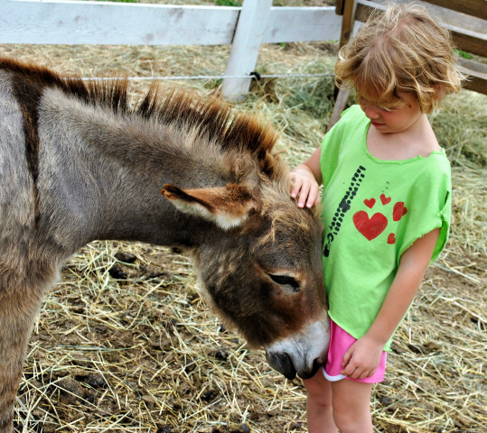 Agency Photo  (128735)