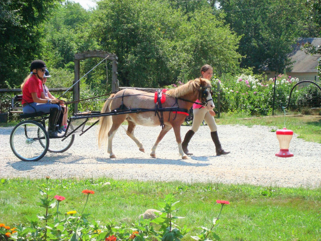 Agency Photo  (128732)