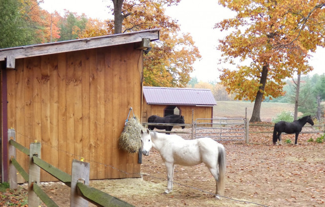 Agency Photo  (162148)