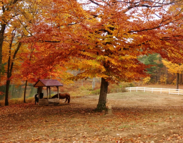 Agency Photo  (162146)