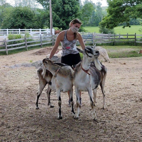 Agency Photo  (162147)