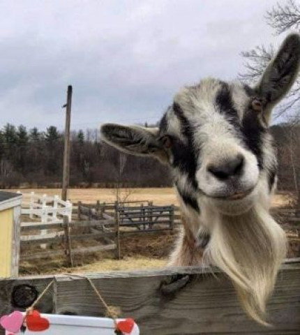 Agency Photo  (162139)