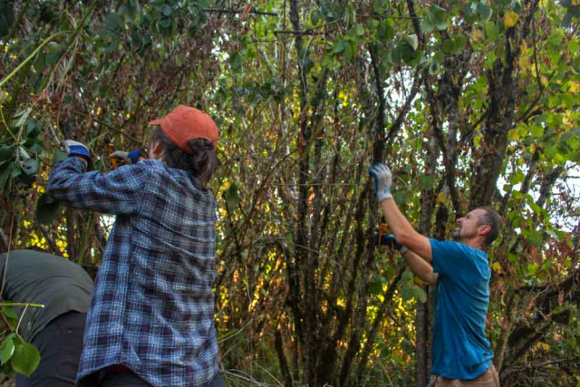 Program Photo  (122456)