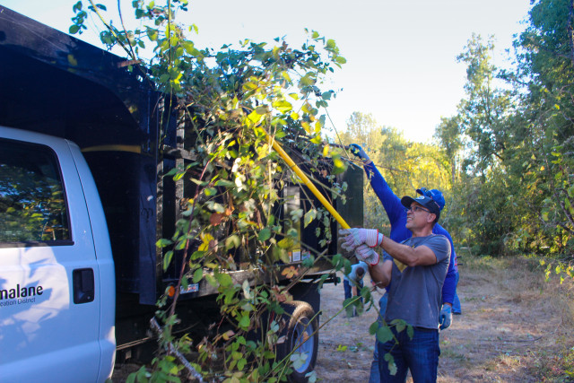 Program Photo  (122454)