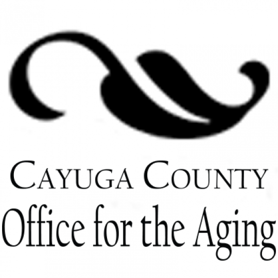 Agency Logo