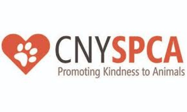 Agency Photo  (186972)