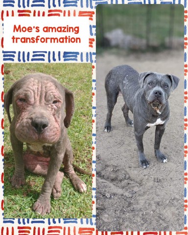 Agency Photo  (211938)