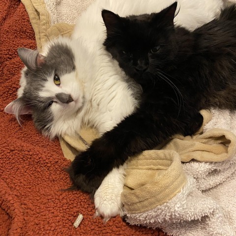 Agency Photo  (211937)