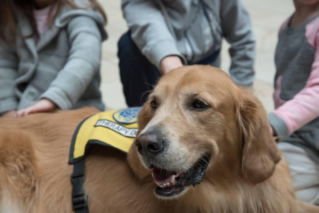 Agency Photo  (190835)