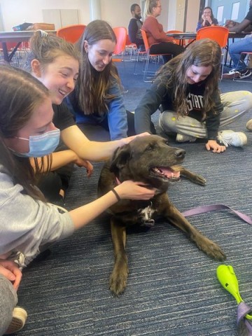 Agency Photo  (193910)