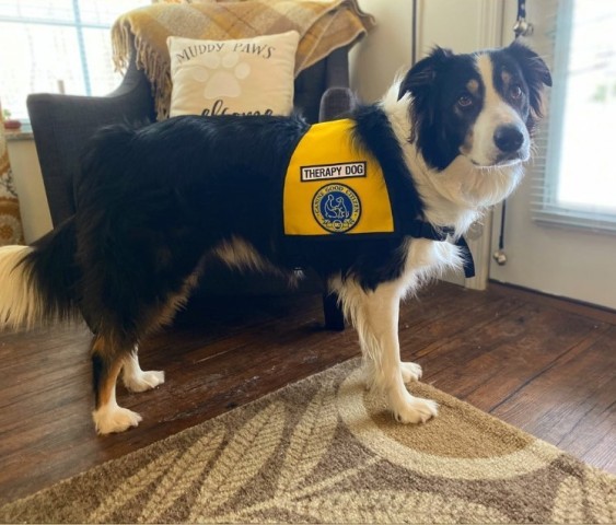 Agency Photo  (190845)