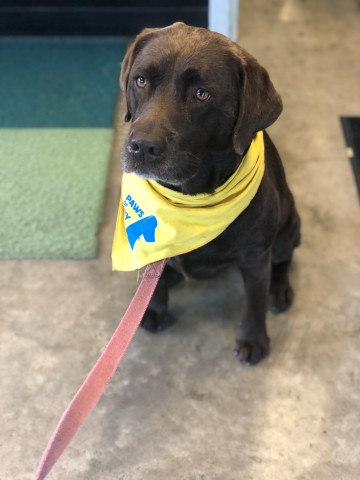 Agency Photo  (190852)