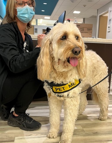 Agency Photo  (190823)