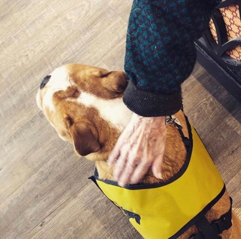 Agency Photo  (190838)