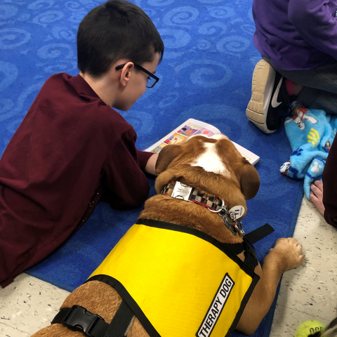 Agency Photo  (190841)