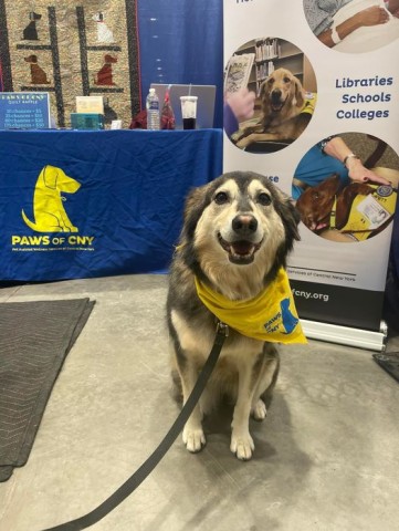 Agency Photo  (190778)