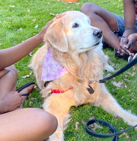 Agency Photo  (190813)