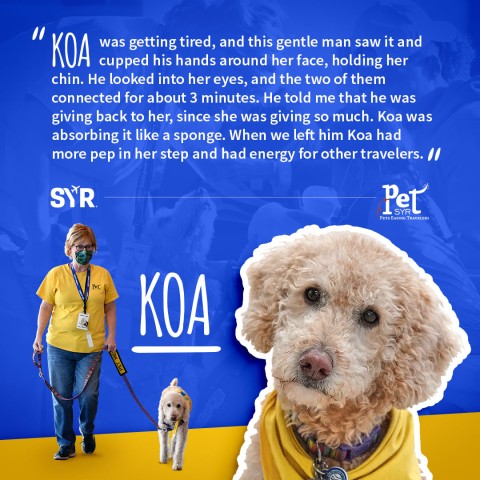 Agency Photo  (190787)