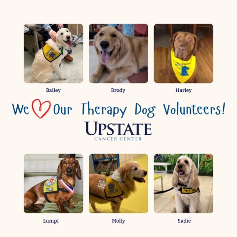 Agency Photo  (190830)