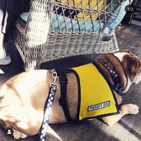 Agency Photo  (190874)