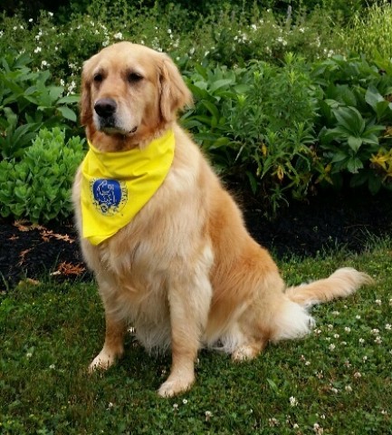 Agency Photo  (190834)