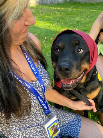 Agency Photo  (190826)