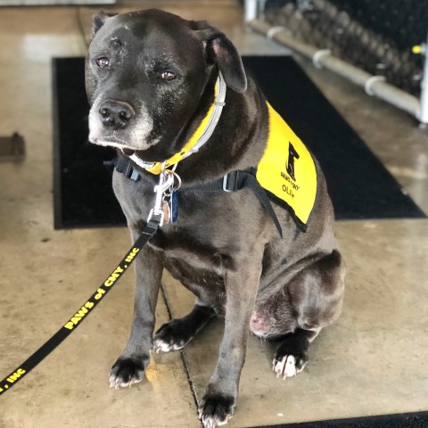 Agency Photo  (190862)