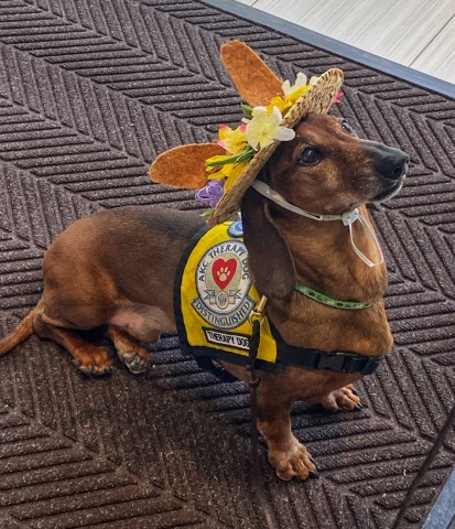 Agency Photo  (190803)