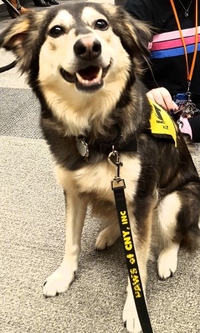 Agency Photo  (190867)