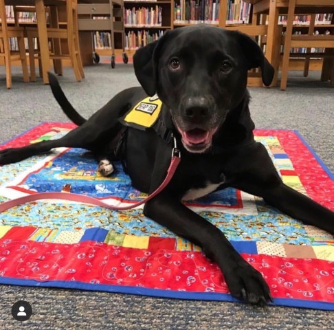 Agency Photo  (190860)