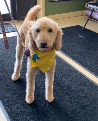 Agency Photo  (190764)