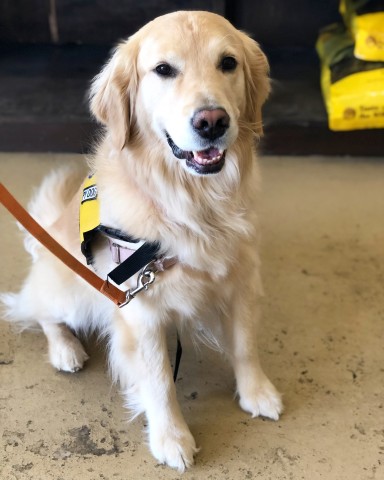 Agency Photo  (190868)