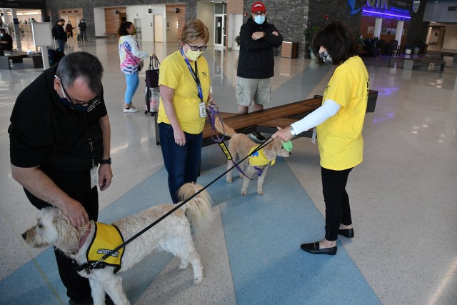 Agency Photo  (190790)